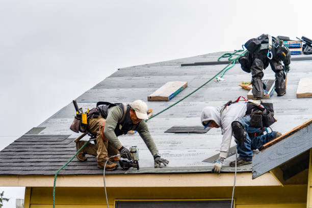 Professional Roofing technician working in Burlington, IA